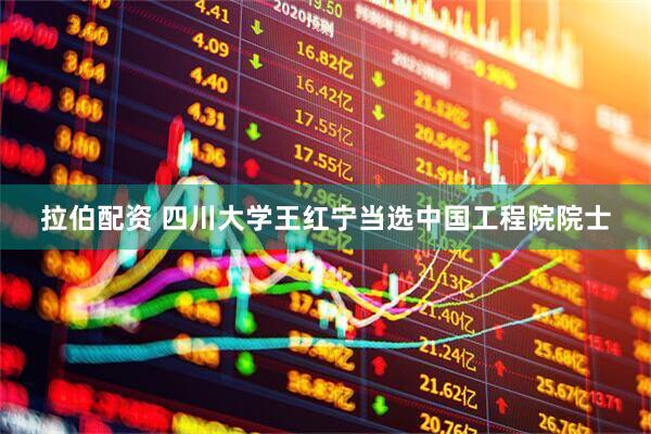 拉伯配资 四川大学王红宁当选中国工程院院士