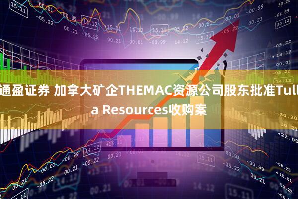 通盈证券 加拿大矿企THEMAC资源公司股东批准Tulla Resources收购案