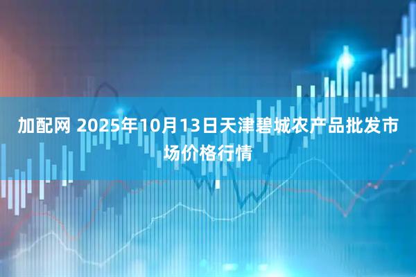 加配网 2025年10月13日天津碧城农产品批发市场价格行情