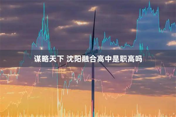 谋略天下 沈阳融合高中是职高吗