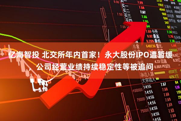 亿海智投 北交所年内首家！永大股份IPO遭暂缓，公司经营业绩持续稳定性等被追问